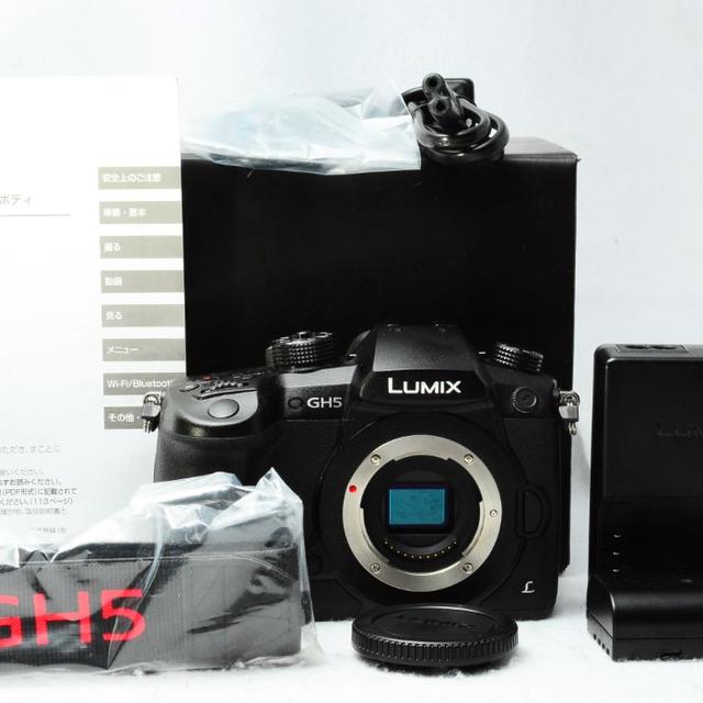 売れ筋商品 ☆極上美品☆ ボディ DC-GH5 LUMIX Panasonic パナソニック