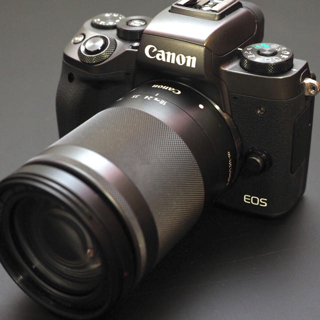 EOS M5 (2420万画素) 18-150mmレンズ、オマケ多数、すぐ撮影可 | www