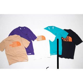 ザノースフェイス(THE NORTH FACE)のthe  north face beams(Tシャツ/カットソー(七分/長袖))