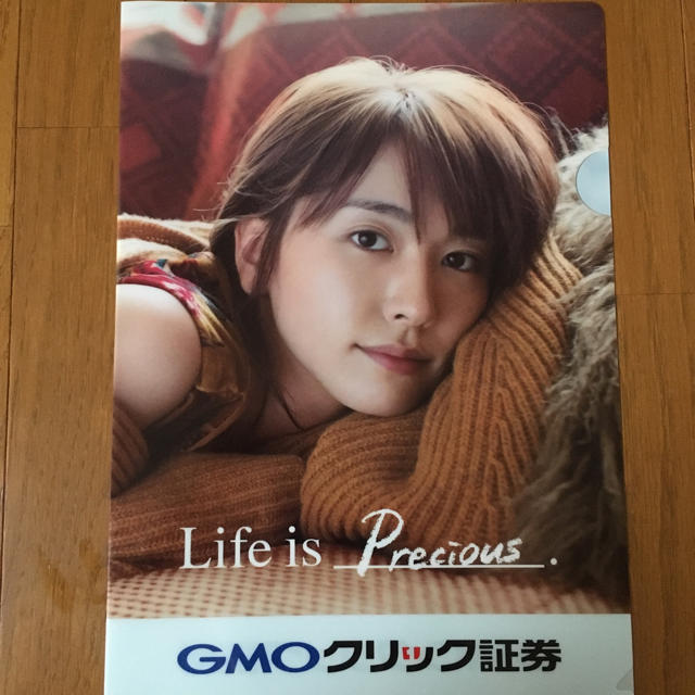 極美品 新垣結衣 クリアファイル GMOクリック証券 非売品 ガッキー