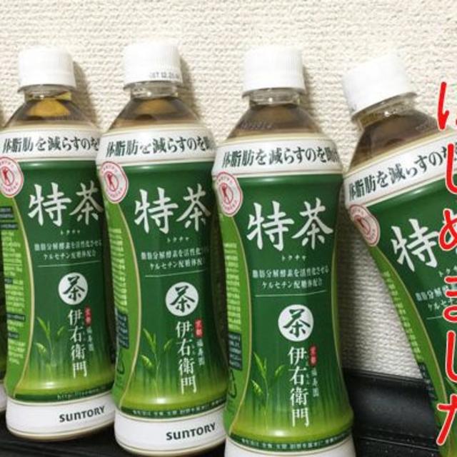 ■訳あり　サントリー 特茶 500ml（特保）4箱（96本入） 食品/飲料/酒の飲料(茶)の商品写真