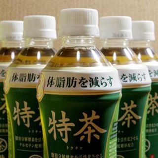 ■訳あり　サントリー 特茶 500ml（特保）4箱（96本入）(茶)