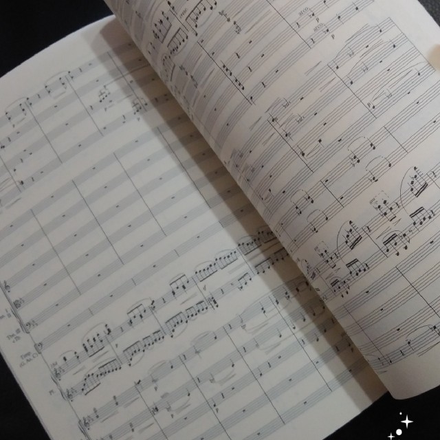 ラフマニノフ ピアノ協奏曲第2番 ハ短調 作品18 オケスコの通販 By まる ラクマ ラフマニノフ ピアノ協奏曲第2番 ハ短調 作品18 オケスコの通販 By まる ラクマ