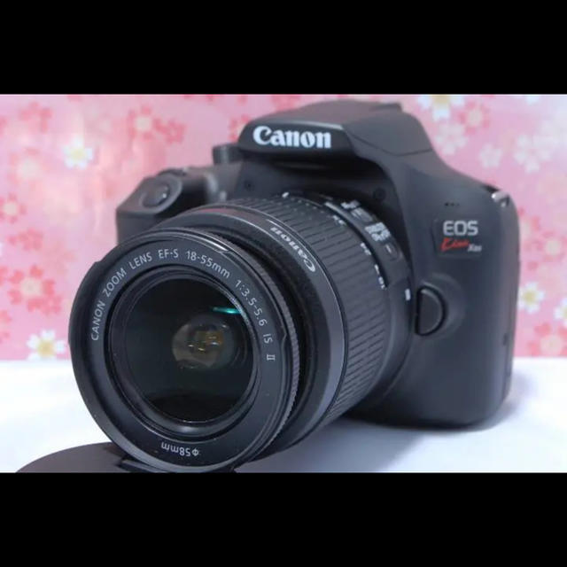 Canon EOS Kiss X80デジタル一眼