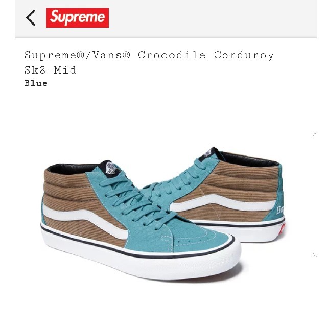 Supreme×vans シューズ　29㎝