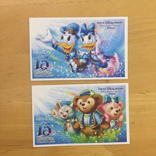 ディズニー(Disney)の使用済み 15周年 ディズニーパスポート(その他)