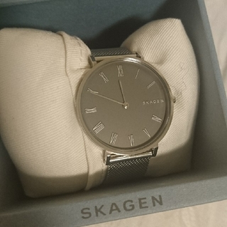 スカーゲン(SKAGEN)のSKAGEN 時計(腕時計)