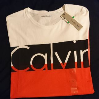 カルバンクライン(Calvin Klein)のCalvin kleinメンズ(Ｌ)レッド(Tシャツ/カットソー(半袖/袖なし))