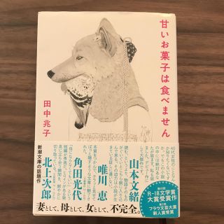 甘いお菓子は食べません 田中兆子 文庫(文学/小説)