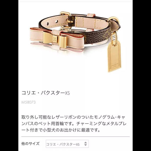 美品 ルイヴィトン 散らかり モノグラム コリエ バクスターXS 美品 ルイヴィトン 散らかり モノグラム コリエ バクスターXS