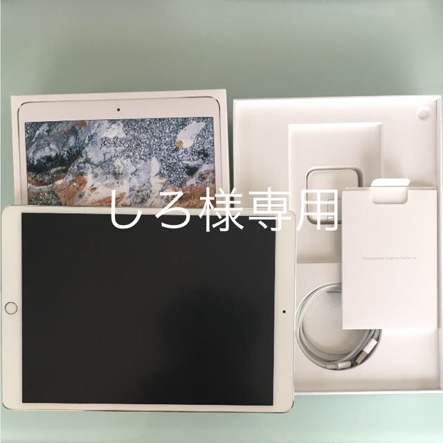 iPad - 最終値下げ！ iPad Pro10.5 256g 公式レザースリーブ など