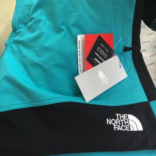 ザノースフェイス(THE NORTH FACE)の最安水色 teal  L the north face beams shorts(ショートパンツ)