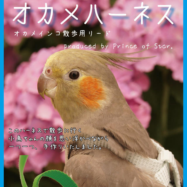 オカメインコ ハーネス  その他のペット用品(鳥)の商品写真