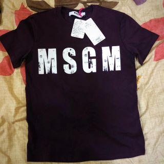 エムエスジイエム(MSGM)のmsgm Tシャツ 新品未使用(Tシャツ(半袖/袖なし))