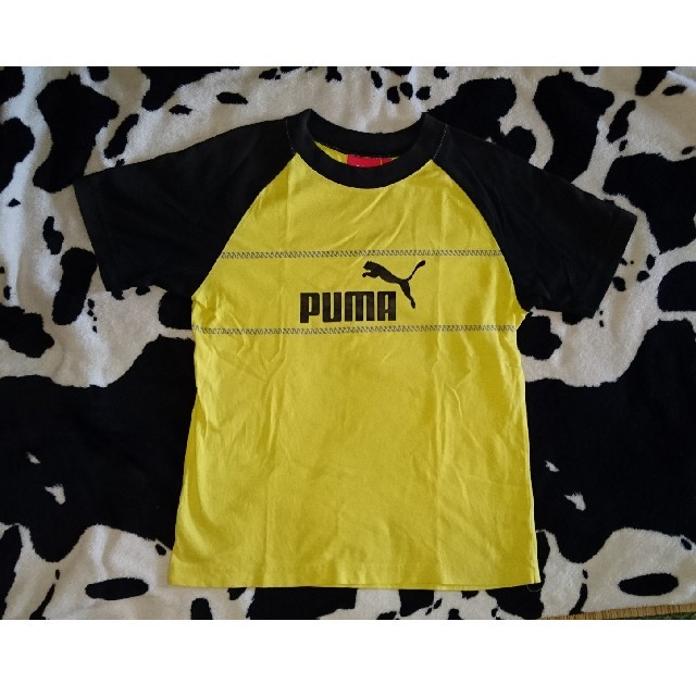 PUMA(プーマ)のひっと様専用 PUMA Tシャツ 140cm キッズ/ベビー/マタニティのキッズ服男の子用(90cm~)(Tシャツ/カットソー)の商品写真