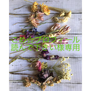 春の花のボタニカルフラワーセット2  こめ☆プロフィール読んでほしい様専用。(ドライフラワー)