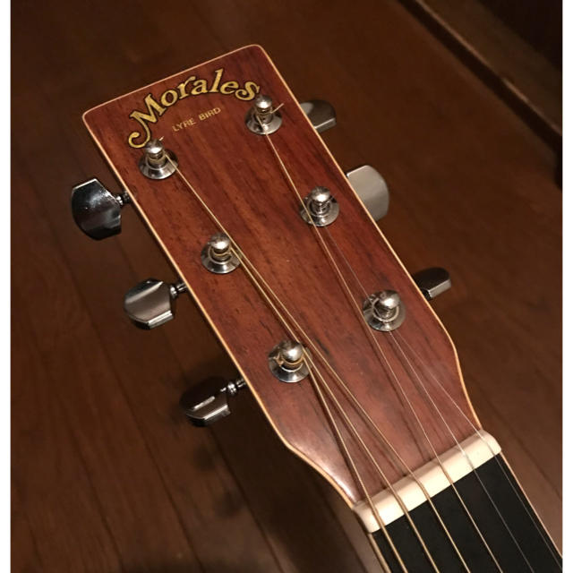 モラレス アコースティックギター M180