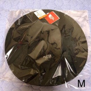 ザノースフェイス(THE NORTH FACE)のMサイズ 新品 ノースフェイス ホライズンハット ハット(ハット)