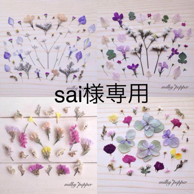 ドライフラワー 押し花 オーダー品 ハンドメイドのフラワー/ガーデン(ドライフラワー)の商品写真