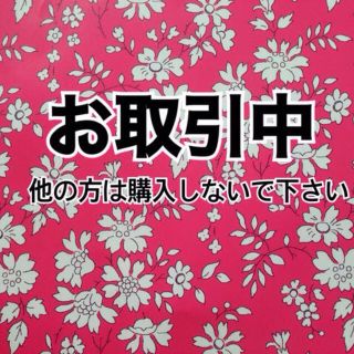 エルビーゼロスリー(LB-03)のみこ様 専用(クラッチバッグ)