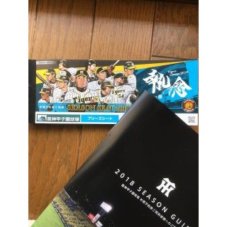 ハンシンタイガース(阪神タイガース)の7/16（月）ウル虎の夏！阪神vs巨人　甲子園ブリーズシート26段通路近く１枚(野球)