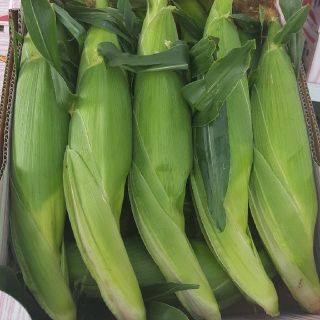 ボンボ様専用⭐とうもろこし(野菜)