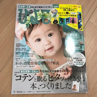 ひよこクラブ 3月号 本のみ‼️(住まい/暮らし/子育て)