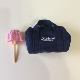 タイトリスト(Titleist)のティーとTitleistのボール入れ(その他)