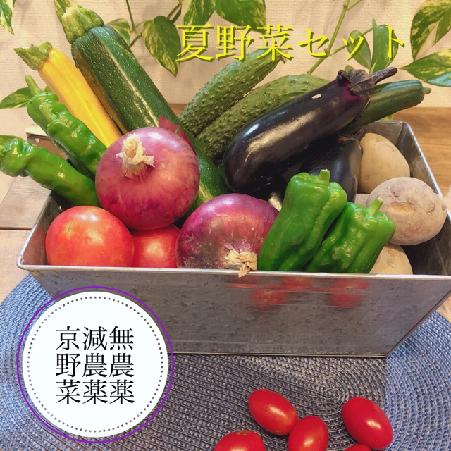 新鮮朝採り野菜詰め合わせ！京都産 食品/飲料/酒の食品(野菜)の商品写真
