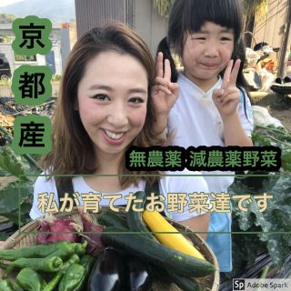 新鮮朝採り野菜詰め合わせ！京都産(野菜)