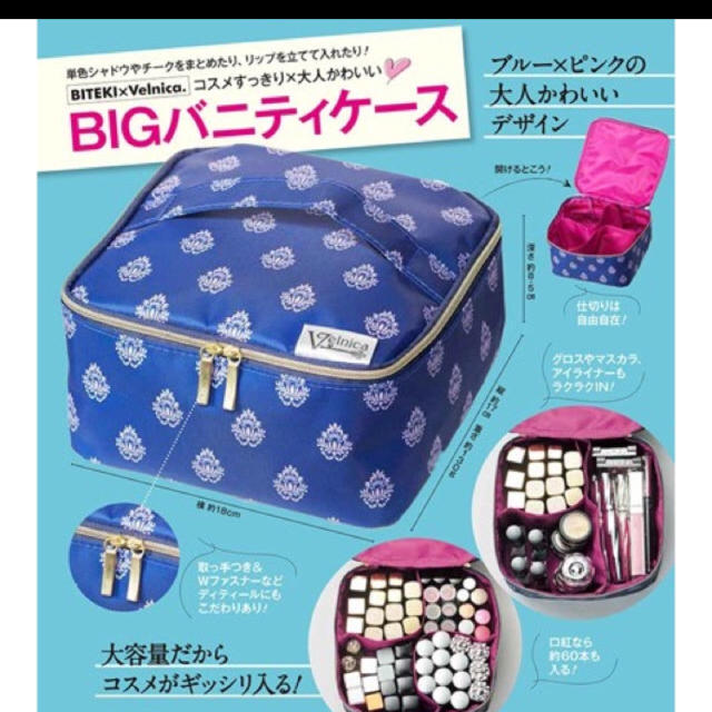 vanitybeauty(バニティービューティー)の美的 8月号付録 大人のBIGバニティケース レディースのファッション小物(ポーチ)の商品写真