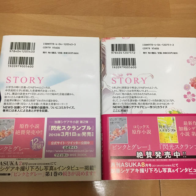 加藤シゲアキ ピンクとグレー 3冊セット エンタメ/ホビーのタレントグッズ(アイドルグッズ)の商品写真