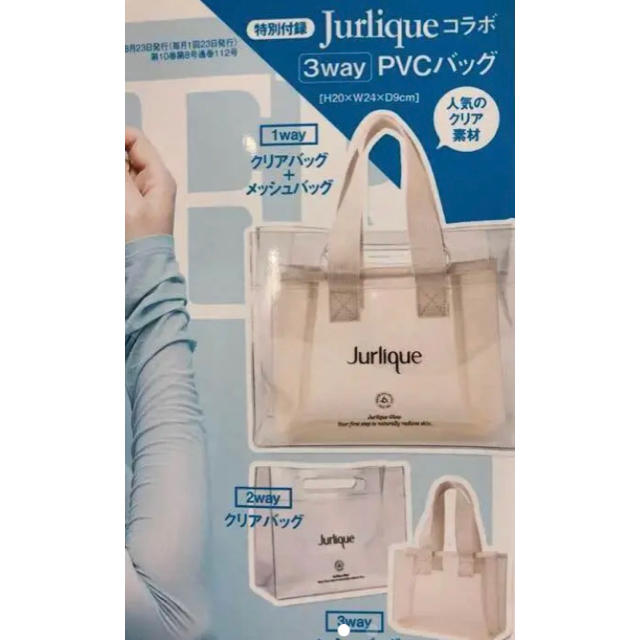 Jurlique(ジュリーク)のジンジャー 付録バッグ レディースのバッグ(その他)の商品写真