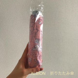 アルビオン(ALBION)のALBION 折りたたみ傘(傘)