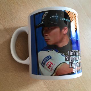 ホッカイドウニホンハムファイターズ(北海道日本ハムファイターズ)の日本ハムファイターズ♪  中島卓也選手(記念品/関連グッズ)