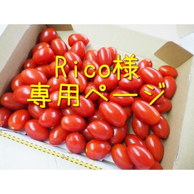 Rico様専用ページ 食品/飲料/酒の食品(野菜)の商品写真