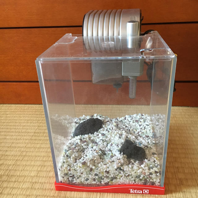 Tetra 金魚飼育セットの通販 By 7li1y S Shop テトラならラクマ