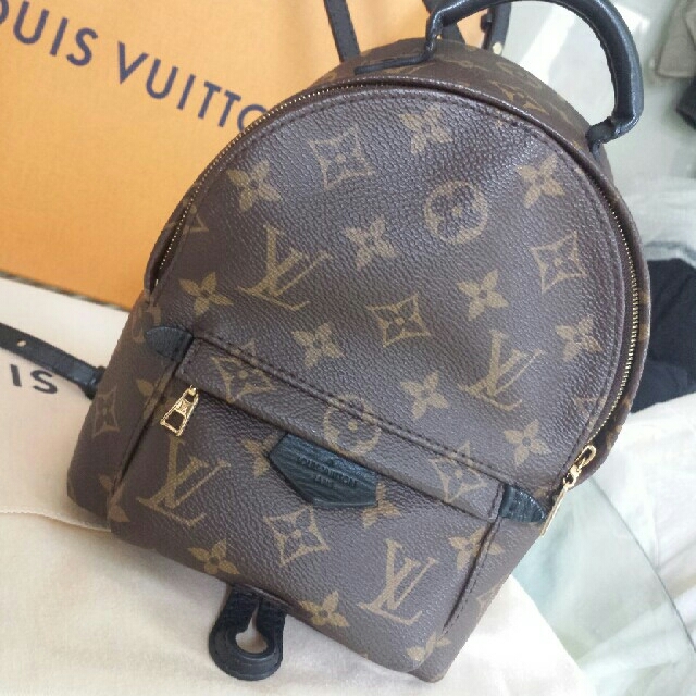 LOUIS VUITTON(ルイヴィトン)のルイヴィトン　パームスプリングス　ミニ　国内正規希少品　ヴィトンリュック　美品 レディースのバッグ(リュック/バックパック)の商品写真