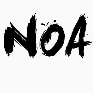 NOA様専用(その他)