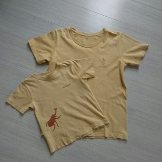 モンベル(mont bell)のmont-bellTシャツ(Tシャツ(半袖/袖なし))