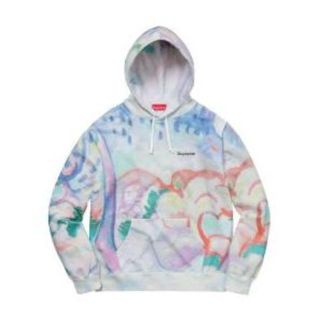 シュプリーム(Supreme)のSupreme landscape hooded sweatshirt(パーカー)