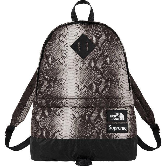 supreme North Face Day Pack Backpack ヘビ柄のサムネイル