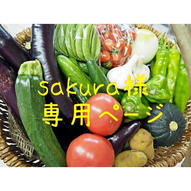 sakura様専用ページ 食品/飲料/酒の食品(野菜)の商品写真