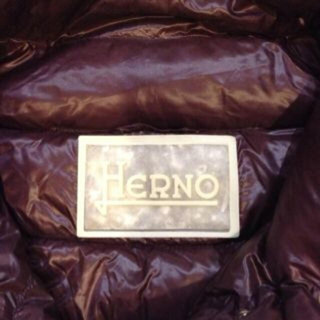ヘルノ(HERNO)の値下げ！HERNO ヘルノダウン 正規品(ダウンジャケット)