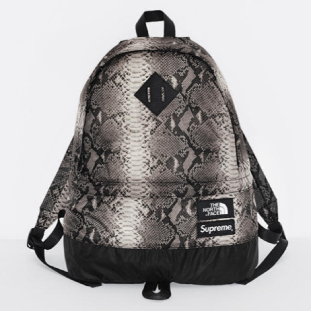 Supreme×TheNorthFace LightweightDayPack - バッグパック/リュック