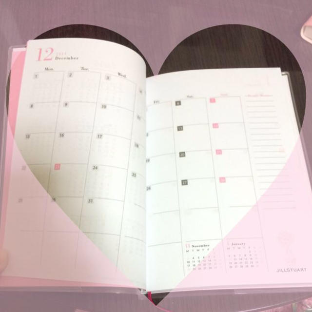 JILLSTUART(ジルスチュアート)の2015 DIARY♡ インテリア/住まい/日用品の文房具(その他)の商品写真