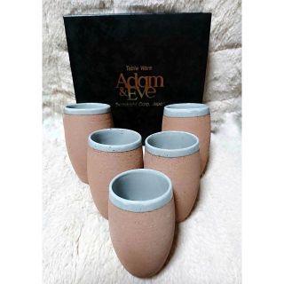 タチキチ(たち吉)の京都たち吉　Adam&Eve　ビール用コップ5P　和食器　新品未使用(グラス/カップ)