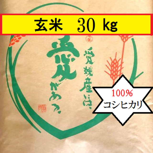 お米　H29　愛媛県産コシヒカリ　玄米　30㎏