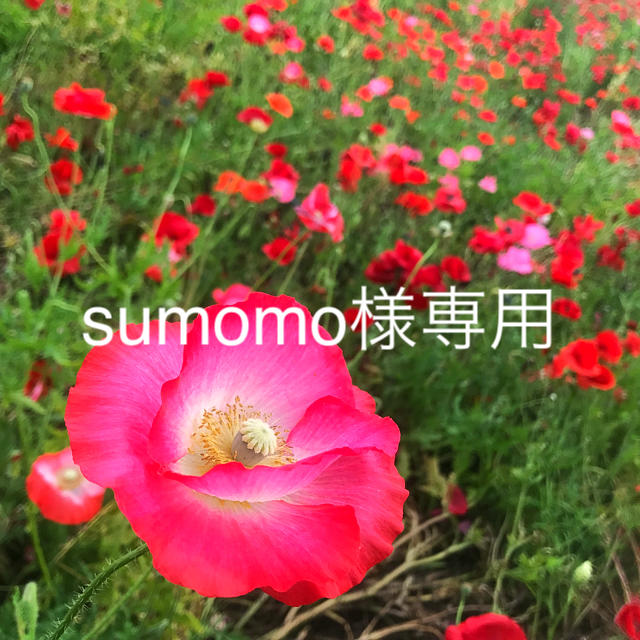 sumomo様専用の通販 by るぶれ's shop｜ラクマ