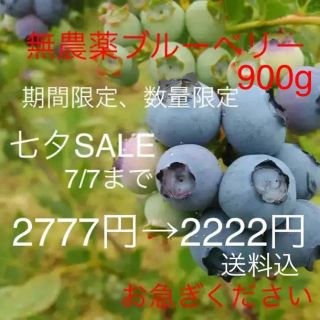 群馬県産 無農薬 生ブルーベリー 900g(フルーツ)